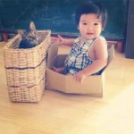 Chat dans panier avec enfant