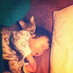 Enfant qui dort avec un chat