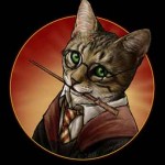 Chat Harry potter
