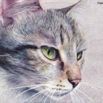 peinture chat blanc