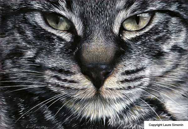 Peintures De Chat Par Laure Simonin Artiste Peintre Animalier Tout Pour Mon Chat