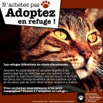 Refuge pour chats asclaf