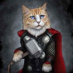 Héro Thor de marvel en chat