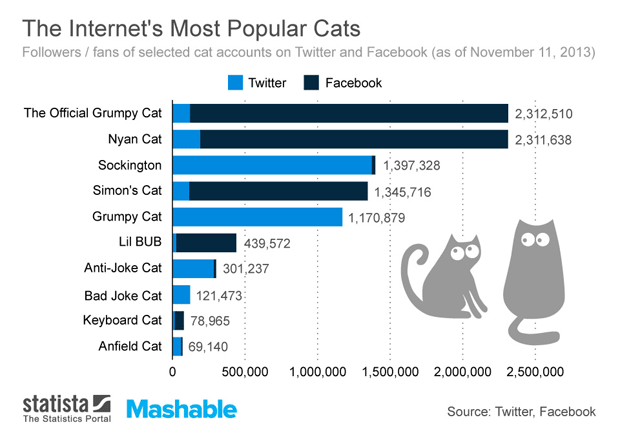 chat celebre internet