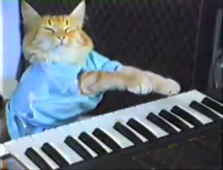 keyboard cat chat