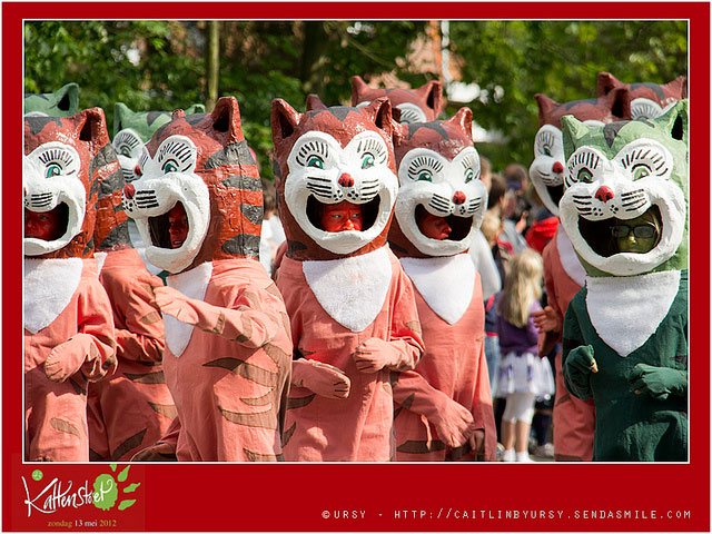 Kattenstoet fete chat belgique