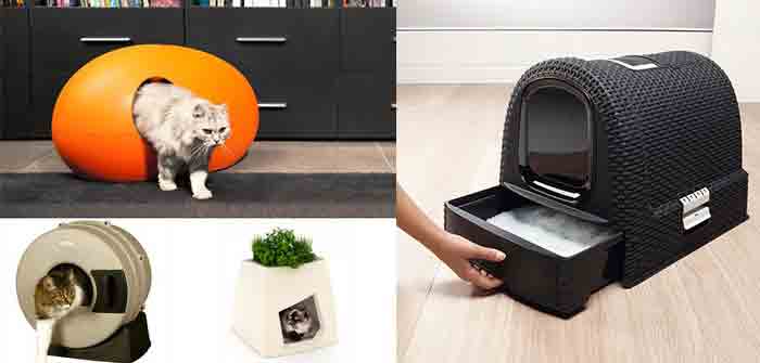 Idees Cadeaux Chat Les Maisons Toilettes Litieres