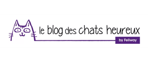 blog des chats heureux interview