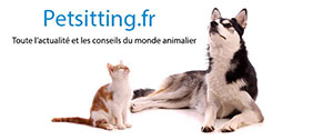 petsitting interview toutpourmonchat