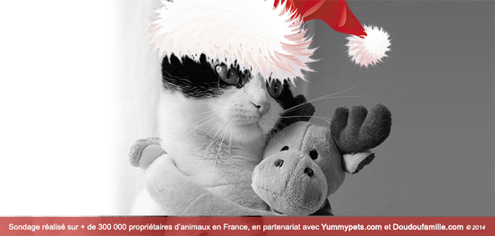 idee cadeau pour chat